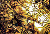 Broken Glass 3