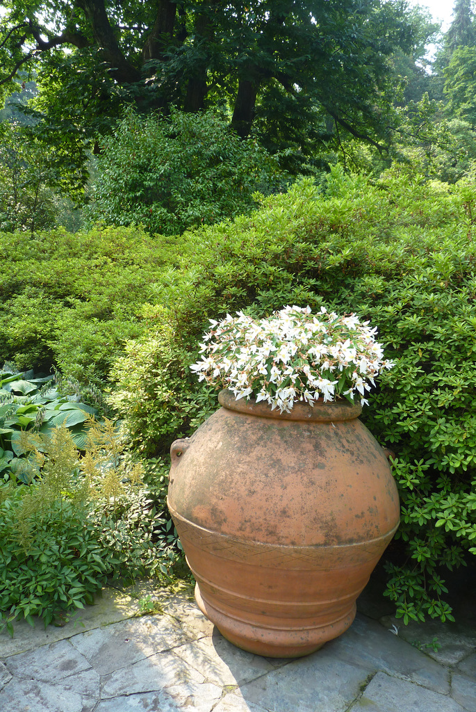 Jardín Botánico