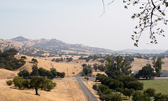 Monterey County / CA-198 Peachtree Ranch (# 0582)