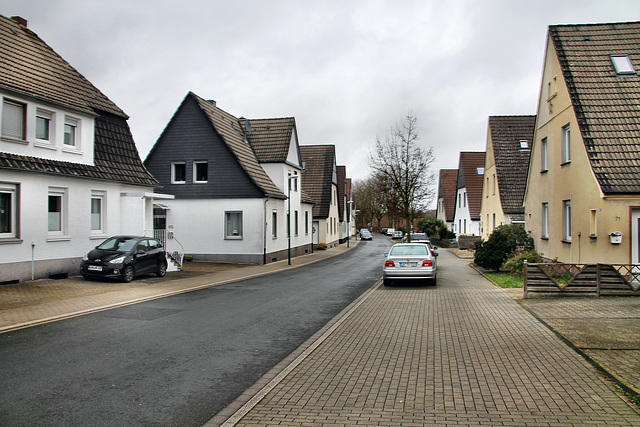 Westfaliastraße (Victoria-Siedlung, Lünen) / 4.03.2023