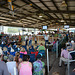 Junior fair livestock auction begins