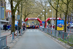 Singelloop 2017