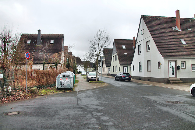 Westfaliastraße (Victoria-Siedlung, Lünen) / 4.03.2023