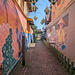 Ruelle artistique / Colourful narrow street