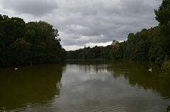 Тростянецкий дендропарк, Большое озеро / Trostyanets Arboretum, Large Lake