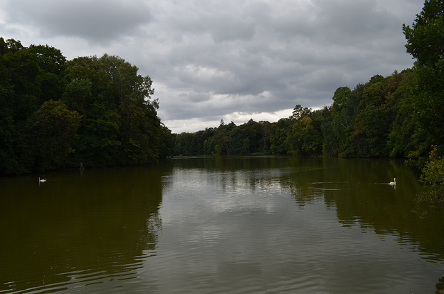 Тростянецкий дендропарк, Большое озеро / Trostyanets Arboretum, Large Lake Тростянецкий дендропарк, Большое озеро / Trostyanets Arboretum, Large Lake