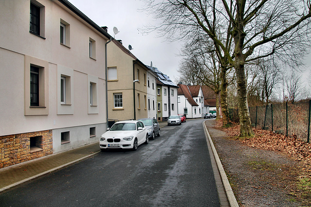 Westfaliastraße (Victoria-Siedlung, Lünen) / 4.03.2023