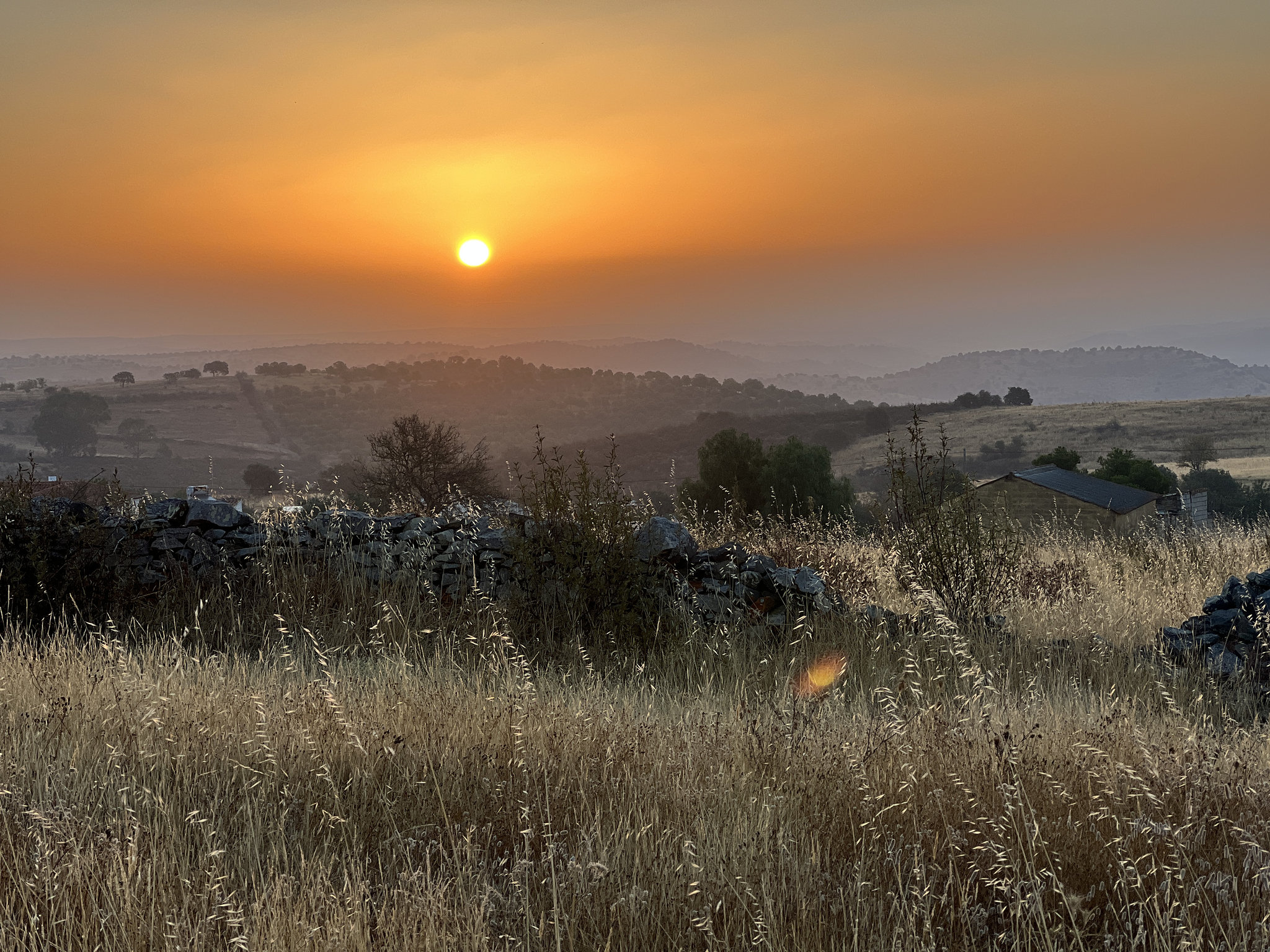 Penedos, Dawn