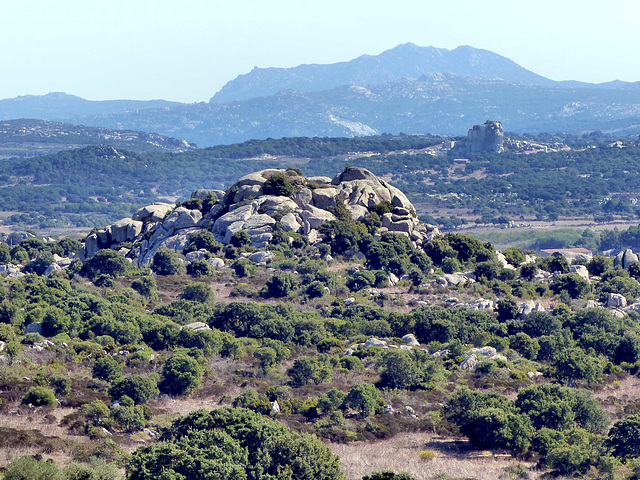 Sardinia