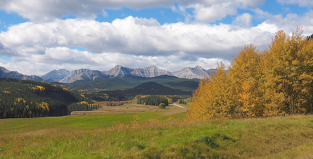 Rocky Mountains near Kananaski, Alberta.