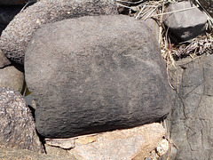 DSCN2002 - Pedra Fincada gravura cf.