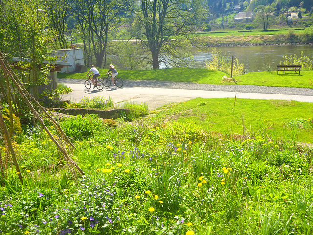 Gruß vom Frühling im Elbtal / 30°C