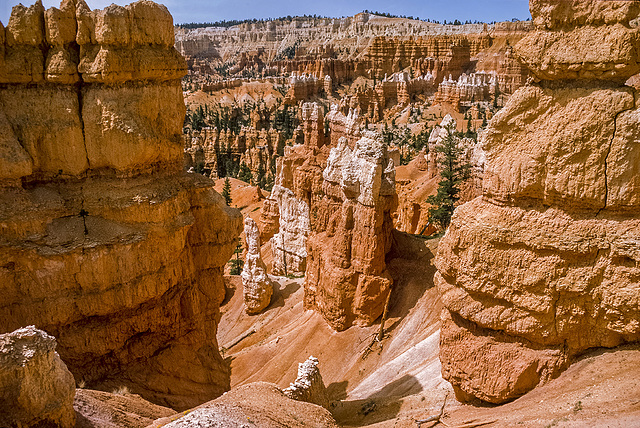 Bryce Canyon - Queens Garden - 1986