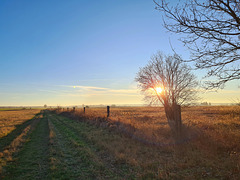 Spaziergang auf dem Lande