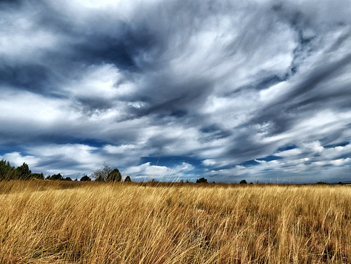 A Strong Wind Blows