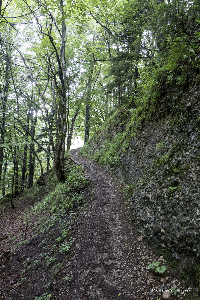 Bergwanderpfad