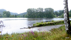 The Tummel at Faskally