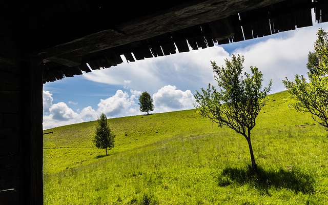 Maramures Juni 2016