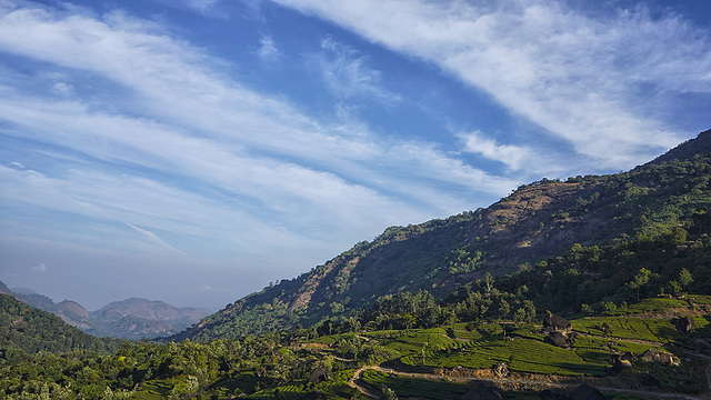 Munnar.