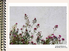 ilere180