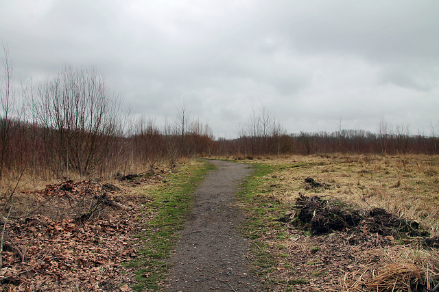 Brachfläche, ehemals Zechengelände Victoria 1/2 (Lünen) / 4.03.2023