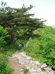 Weg zum Gangcheon-Tal in Südkorea
