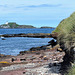 Scotland / Firth of Forth PiP