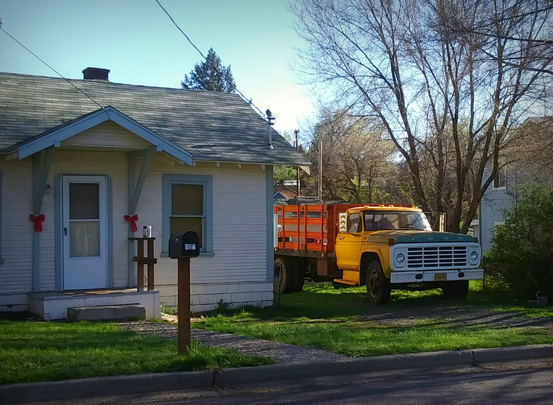 Multicolored Ford