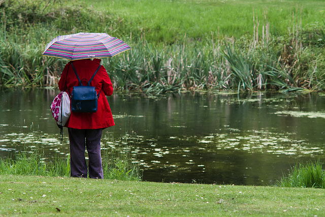 May 15: In the rain