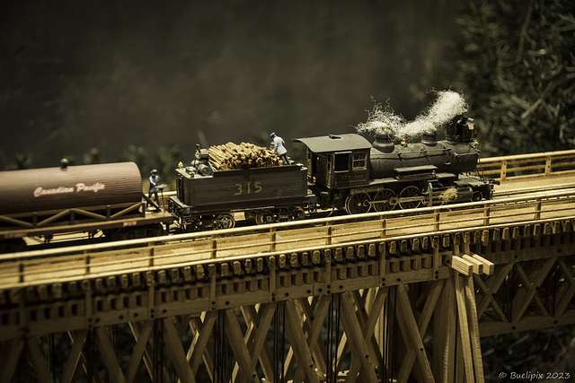 im Revelstoke Railway Museum ... P.i.P. (© Buelipix)