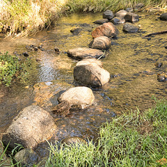 stepping stones-Swift Current Creek