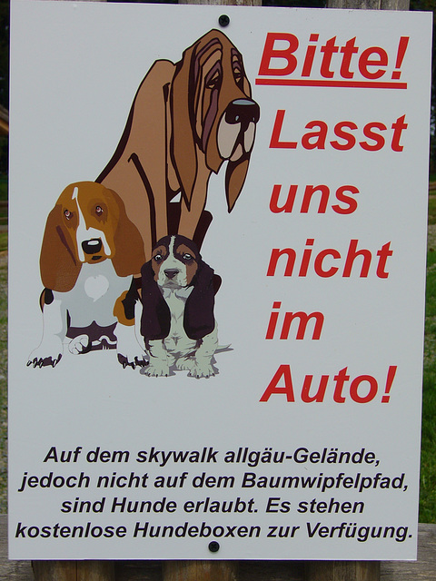 Schild