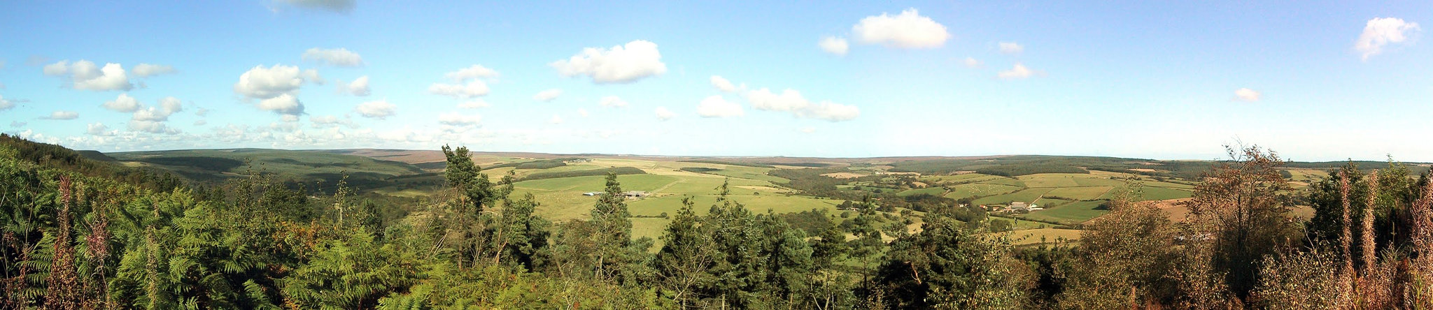 Harwood Dale towards N. York Moors from Broxa Fore