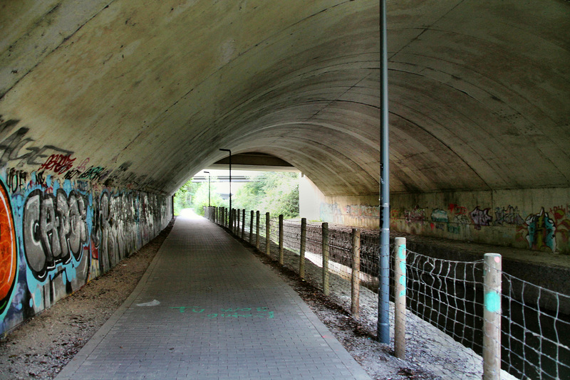 Untertunnelte Emscher (Dortmund-Dorstfeld) / 2.06.2018