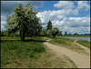 Thames Path in spring