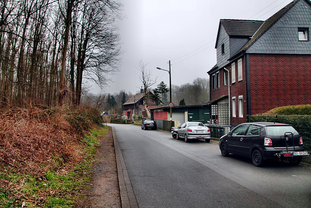 Beverstraße (Bochum-Langendreer) / 11.02.2023