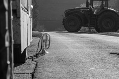 2025 365-312 2025 365-312