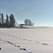 Winterlandschaft in Oberschwaben - etwas unscharf