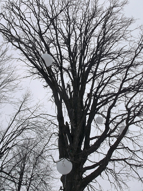 Arbre à ballons / Tree's balloons