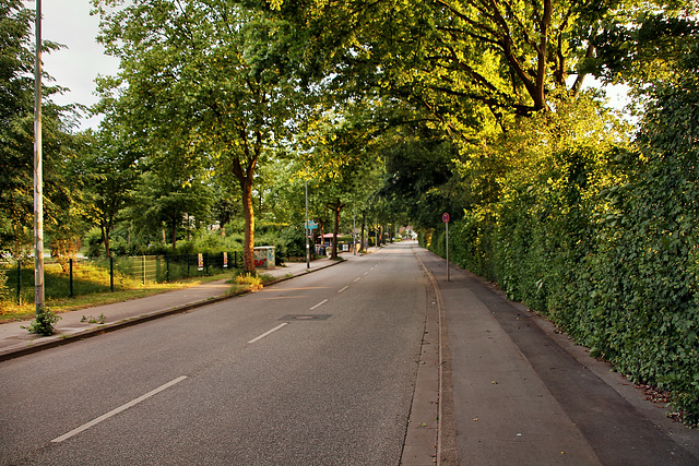 Grimbergstraße (Gelsenkirchen-Bismarck) / 21.05.2018