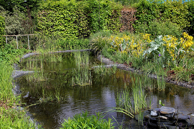 Les bassins- jardins du château de Chaumont / Loire