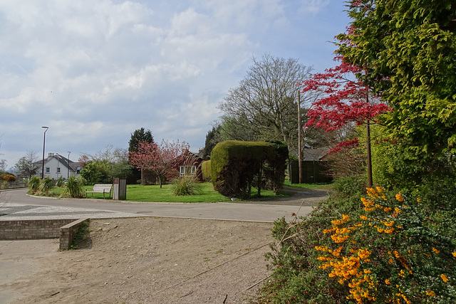 View From Hermitage Park