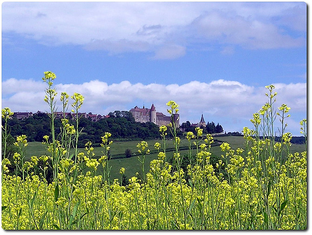 Chateauneuf Burgund