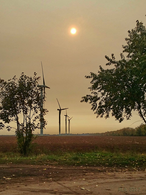 Dienstag: Hochnebel mit Saharastaub