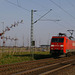 BÖ0002539