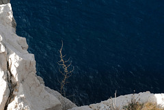 Calanque de la Triperie