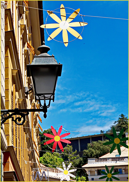 Addobbi estivi nel centro di Genova