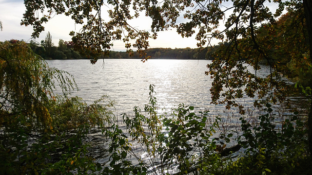 Außenmühlenteich, Harburg Außenmühlenteich, Harburg