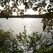 Außenmühlenteich, Harburg