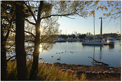 Toronto skyline, from/depuis Tommy Thompson Park